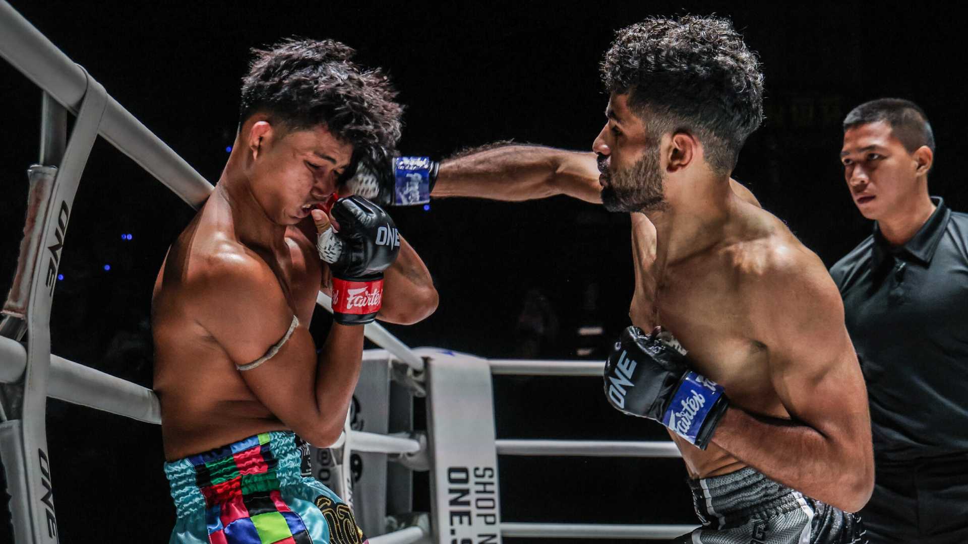 Hamidi fight
